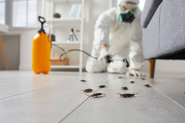 Commercial Rodent Management in Paulding